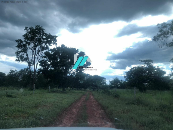 Imagem Fazenda à Venda, 480 m² em Zona Rural - Coração De Jesus