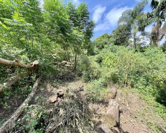 Imagem Terreno à Venda, 907 m² em Vila Santo Antônio - Cotia