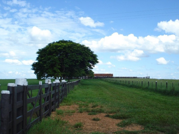 Imagem Imóvel à Venda, 2.042 m² em área Rural De Marília - Marília