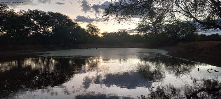 Imagem Fazenda à Venda, 950 m² em Zona Rural - Verdelândia