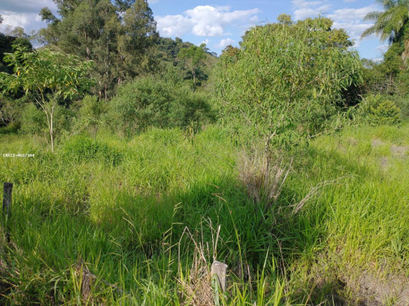 Imagem Chácara à Venda, 1.000 m² em Rio Verde - Caldas