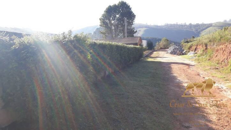 Imagem Casa com 3 Quartos à Venda, 308 m² em Descansópolis - Campos Do Jordão