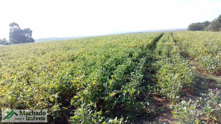 Imagem Imóvel à Venda,  em Rural - Tupanciretã