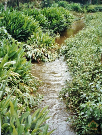 Imagem Terreno à Venda, 4.695 m² em Campos De Cunha - Cunha