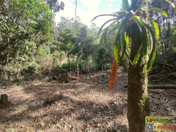 Imagem Imóvel à Venda,  em Ribeirão Da Velha - Nova Trento