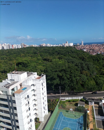 Imagem Imóvel com 3 Quartos à Venda, 190 m² em Cidade Jardim - Salvador