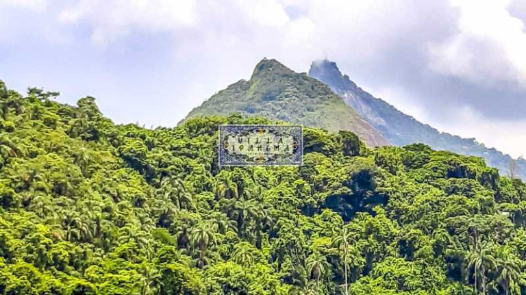 Imagem Apartamento com 2 Quartos à Venda, 80 m² em Laranjeiras - Rio De Janeiro