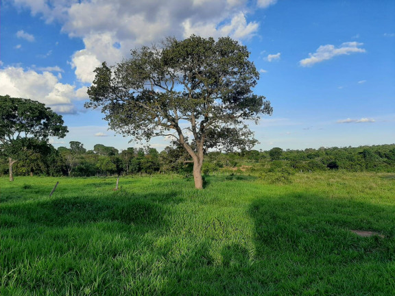 Imagem Fazenda à Venda, 830 m² em área Rural De Unaí - Unaí