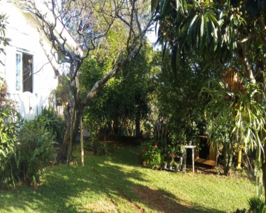 Imagem Imóvel com 3 Quartos à Venda,  em Vale Verde - Nova Petrópolis