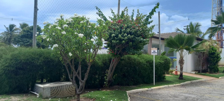 Imagem Casa com 4 Quartos à Venda, 280 m² em Zona De Expansão (mosqueiro) - Aracaju