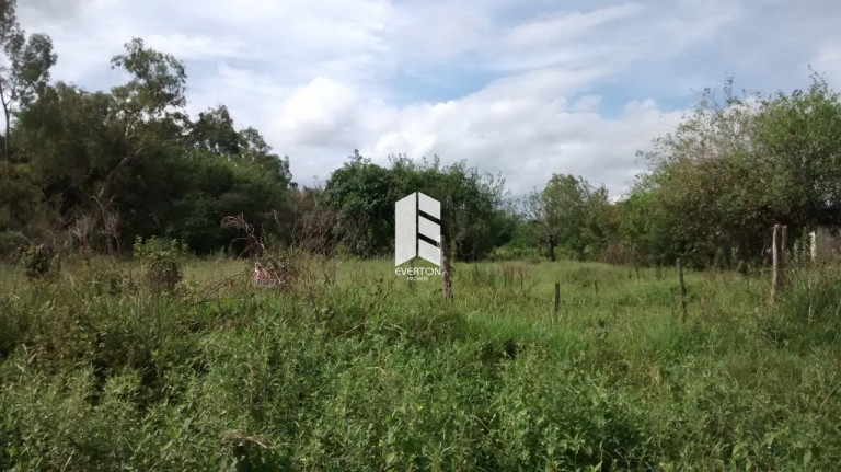 Imagem Fazenda à Venda, 140.000 m² em Zona Rural - Santa Maria