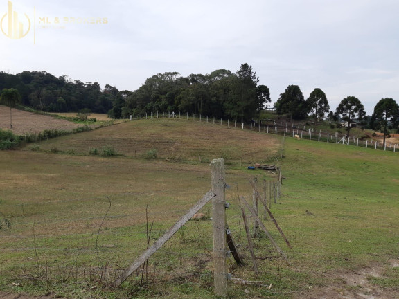 Imagem Imóvel à Venda, 10.000 m² em Centro - Campo Magro