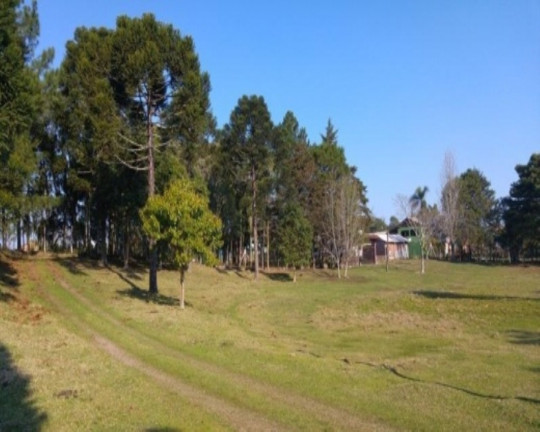 Imagem Imóvel com 2 Quartos à Venda, 110 m² em Fazenda Pirajá - Nova Petrópolis