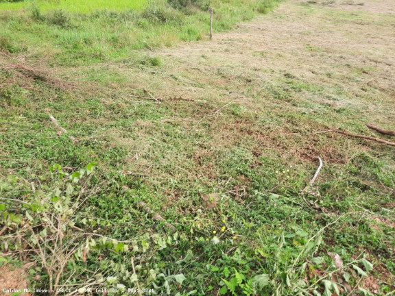 Imagem Chácara à Venda, 3.600 m² em Pocinhos Do Rio Verde - Caldas