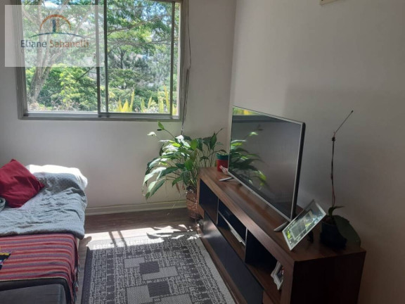 Imagem Apartamento com 3 Quartos à Venda, 70 m² em Panamby - São Paulo