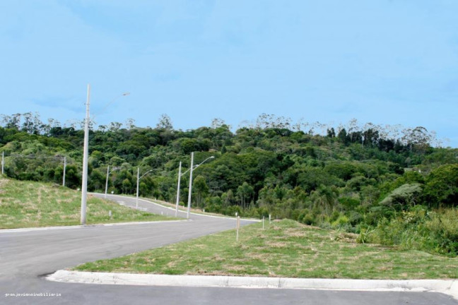 Imagem Terreno à Venda, 501 m² em Reserva Samambaia - Cotia