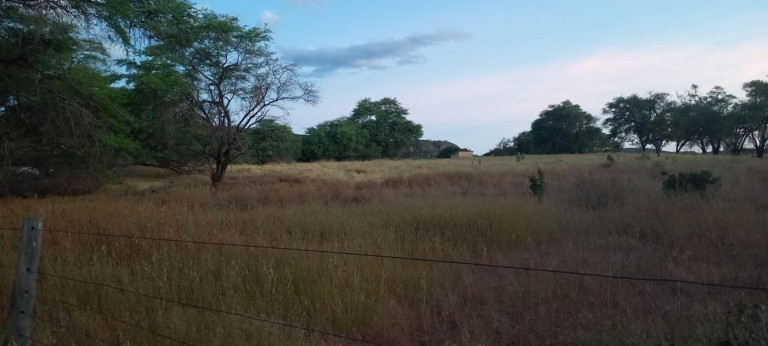 Imagem Fazenda à Venda, 950 m² em Zona Rural - Verdelândia