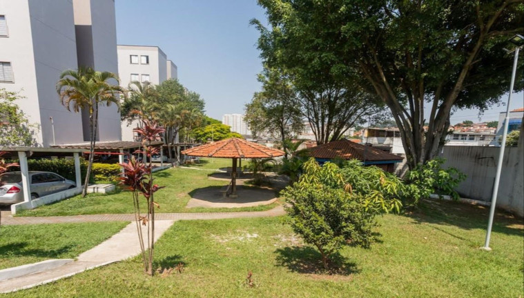 Apartamento com 3 Quartos à Venda, 64 m² em Vila Alpina - São Paulo