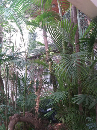 Imagem Sobrado com 6 Quartos à Venda, 250 m² em Jardim São Pedro - São Paulo