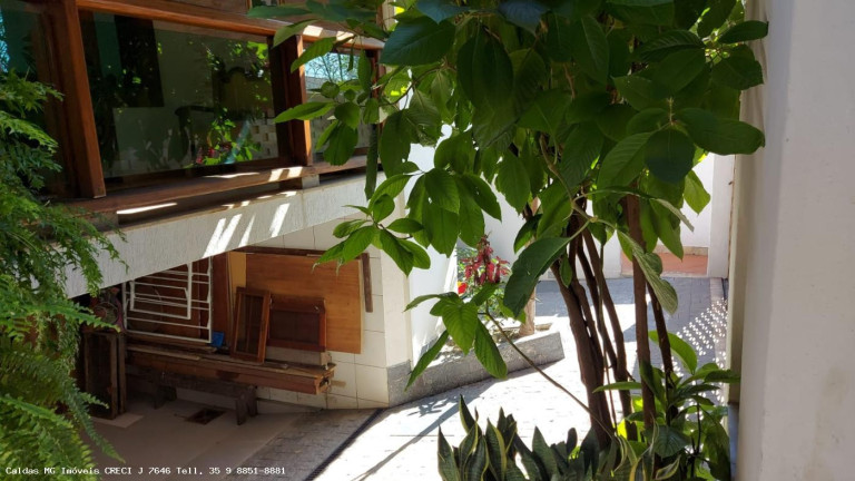 Imagem Casa com 7 Quartos à Venda, 420 m² em Floresta - Belo Horizonte