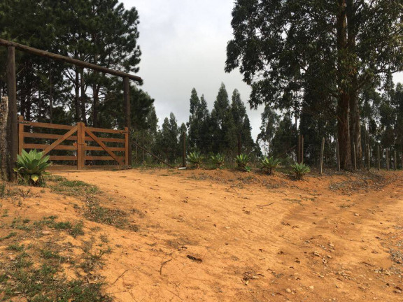 Imagem Chácara à Venda, 24.200 m² em Piedade