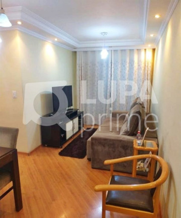 Imagem Apartamento com 3 Quartos à Venda, 64 m² em Vila Amália  - São Paulo
