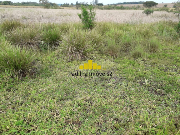 Imagem Chácara à Venda, 12 m² em Guarapiranga - Capela Do Alto