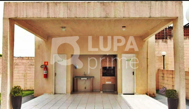 Imagem Apartamento com 3 Quartos à Venda, 59 m² em Vila Amália  - São Paulo