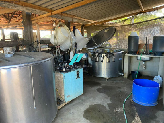 Imagem Fazenda à Venda, 300 m² em Zona Rural - Araçuaí