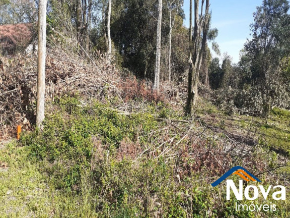 Imagem Imóvel à Venda, 621 m² em Pousada Da Neve - Nova Petrópolis