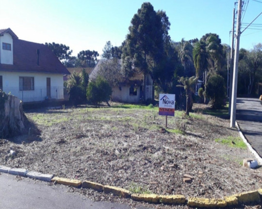 Imagem Imóvel à Venda, 1.452 m² em Logradouro - Nova Petrópolis