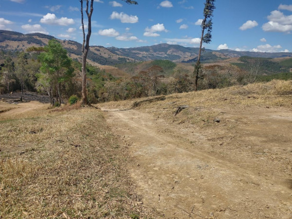 Imagem Chácara à Venda, 1.000 m² em Pocinhos Do Rio Verde - Caldas