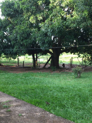 Imagem Chácara à Venda, 4 m² em Zona Rural - Campestre De Goiás