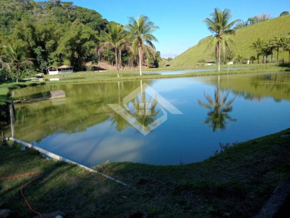 Imagem Fazenda à Venda, 544.000 m² em Professor Souza - Casimiro De Abreu