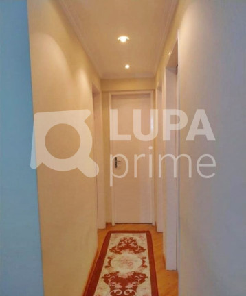 Apartamento com 3 Quartos à Venda, 64 m² em Vila Amália  - São Paulo