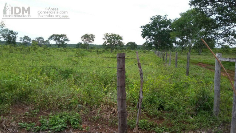 Imagem Chácara à Venda, 6.660.000 m² em Centro - Cristalândia