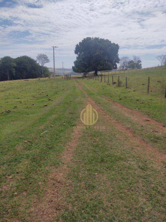 Imagem Fazenda à Venda, 157.300 m² em Sao Simao - São Simão