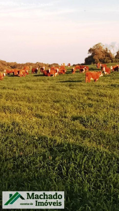 Imagem Imóvel à Venda, 440 m² em Rural - Itacurubi