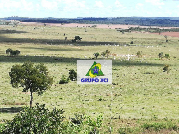 Imagem Fazenda à Venda, 10.340.000 m² em Zona Rural - Campinápolis