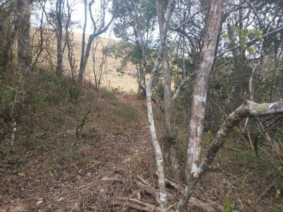 Imagem Chácara à Venda, 20.000 m² em Rio Pardo - Caldas