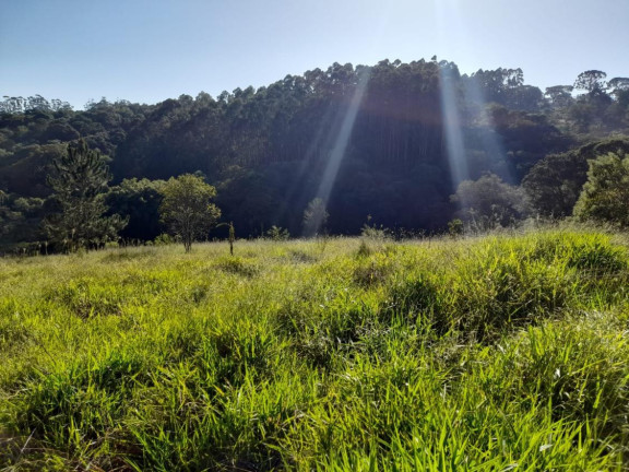 Imagem Casa à Venda,  em Centro - Ibiúna