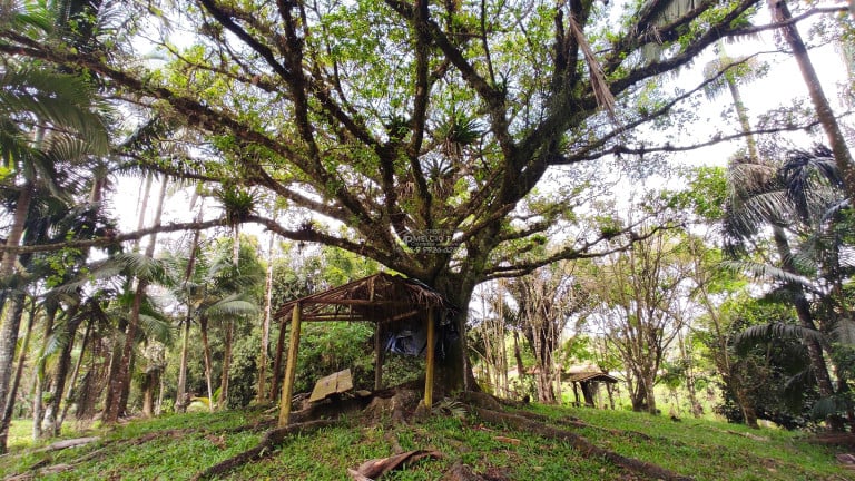 Imagem Imóvel com 3 Quartos à Venda,  em Arataca - São João Batista