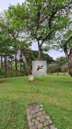 Imagem Chácara com 4 Quartos à Venda, 145.200 m² em Palmitalzinho - Quatro Barras