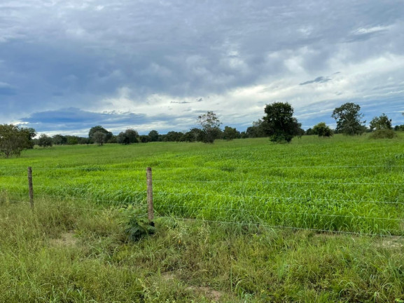 Imagem Fazenda à Venda, 500 m² em Zona Rural - Aliança Do Tocantins