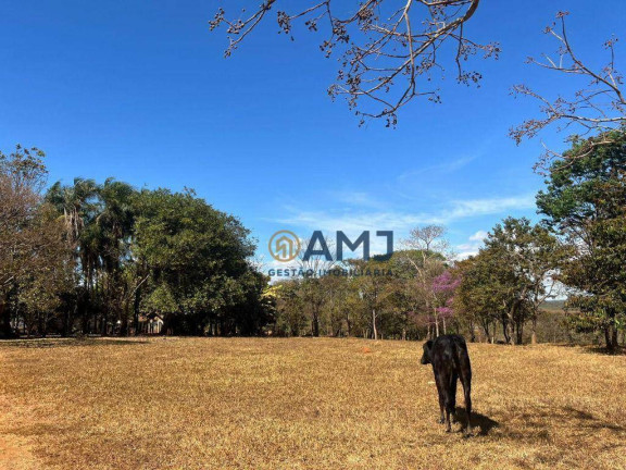 Imagem Fazenda à Venda, 150 m² em Residencial Vitória - Itaberaí