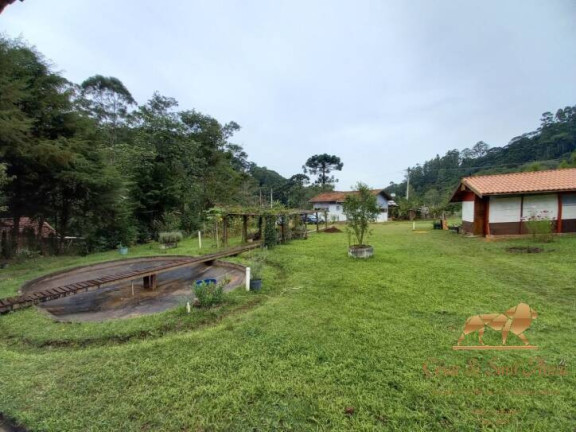 Imagem Chácara com 4 Quartos à Venda, 30.000 m² em Zona Rural - Santo Antônio Do Pinhal
