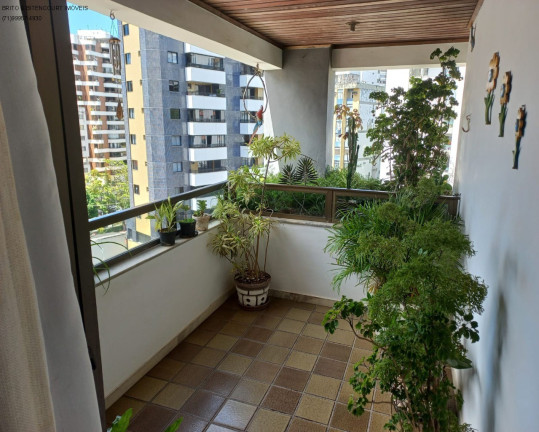 Imagem Apartamento com 2 Quartos à Venda, 94 m² em Jardim Apipema - Salvador