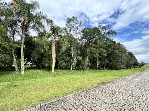 Imagem Terreno à Venda, 2.500 m² em Campo Largo Da Roseira - São José Dos Pinhais
