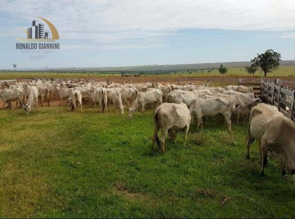 Imagem Fazenda à Venda, 22.022.000 m² em Distrito Industrial - Presidente Prudente