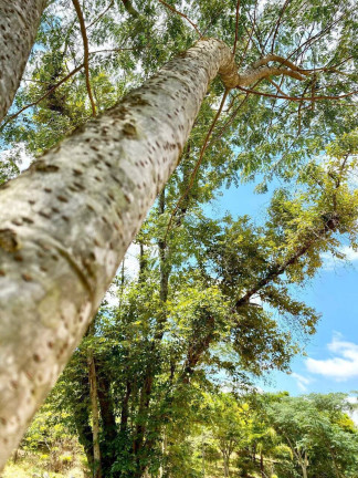 Imagem Terreno em Condomínio à Venda, 1.278 m² em Caxambu - Jundiaí